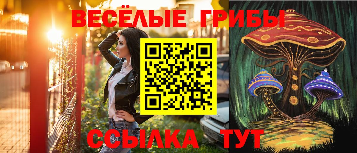 Галлюциногенные грибы MAGIC MUSHROOMS  Вход с VPN  Набережные Челны 